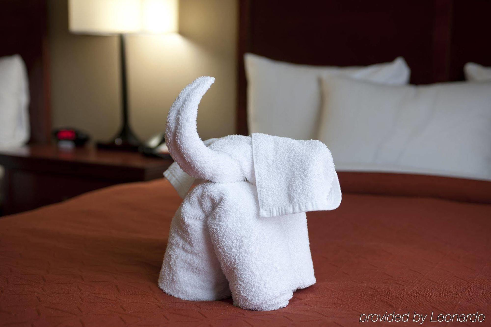 Seffner Inn And Suites エクステリア 写真